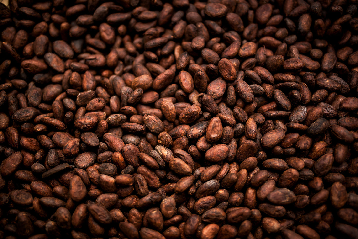 The Rich Allure of Cacao Absolute in Natural Fragrance