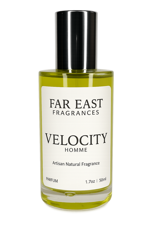 Velocity Homme