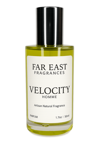 Velocity Homme
